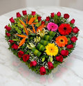 Amor 6