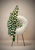 Condolencias 24